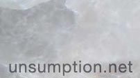 unsumption.net